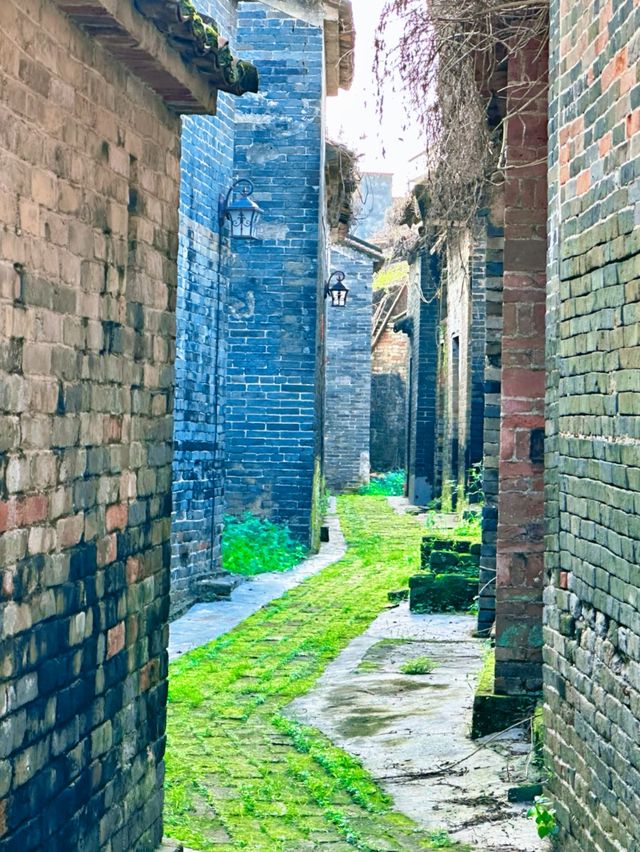 探秘嶺南理學第一村 探秘嶺南理學第一村