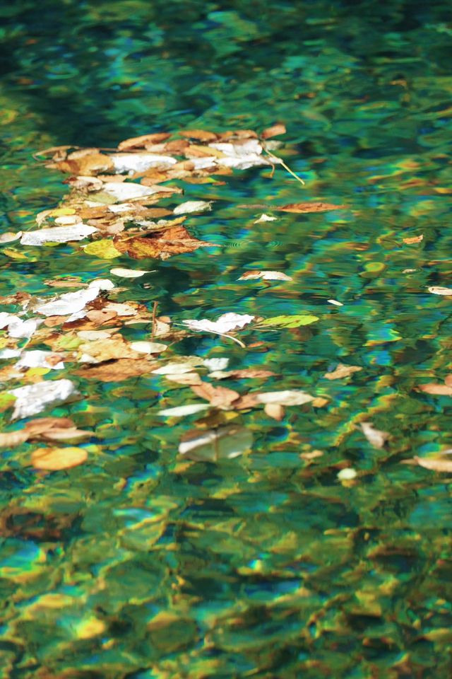 暮秋初冬的雲台山，是藏不住的治癒感