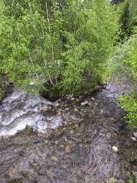 被喀納斯的美震撼到說不出話這才是新疆旅遊的天花板,阿勒泰皇冠上的明珠說的就是這裡吧 【必