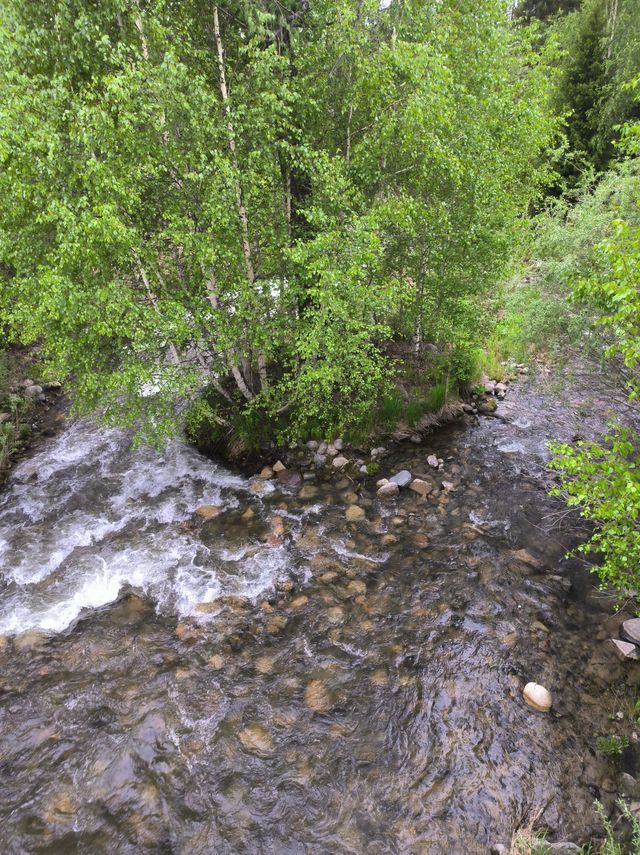 被喀納斯的美震撼到說不出話這才是新疆旅遊的天花板,阿勒泰皇冠上的明珠說的就是這裡吧 【必 被喀納斯的美震撼到說不出話這才是新疆旅遊的天花板,阿勒泰皇冠上的明珠說的就是這裡吧 【必