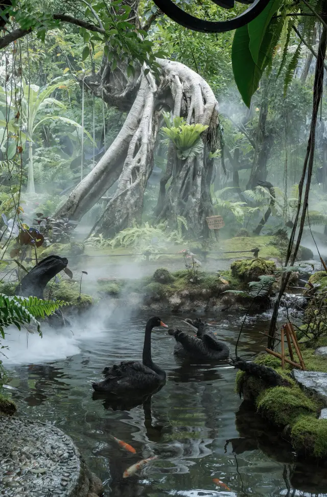 The Wizard of Oz Hidden in Xishuangbanna