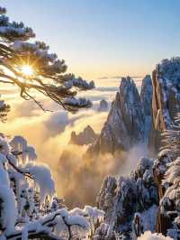 黃山日出雲海必看