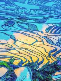 《國家地理》沒騙我12月的元陽梯田