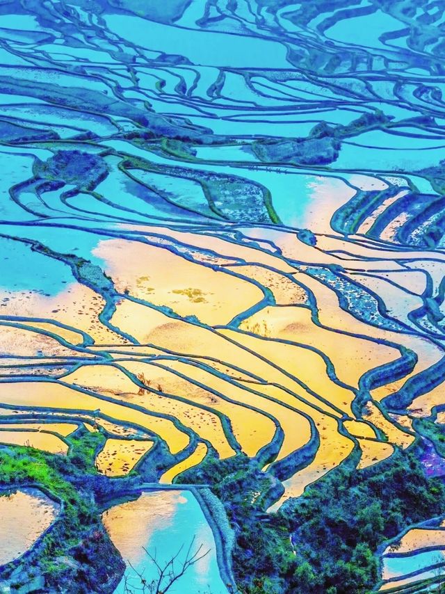 《國家地理》沒騙我12月的元陽梯田 《國家地理》沒騙我12月的元陽梯田