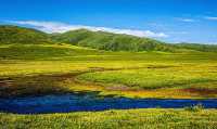 夏日必去甘南草原