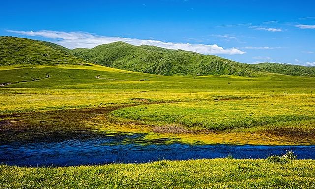 夏日必去甘南草原 夏日必去甘南草原
