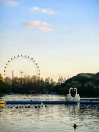 上海野生動物園30歲免費！週末遛娃聖地！