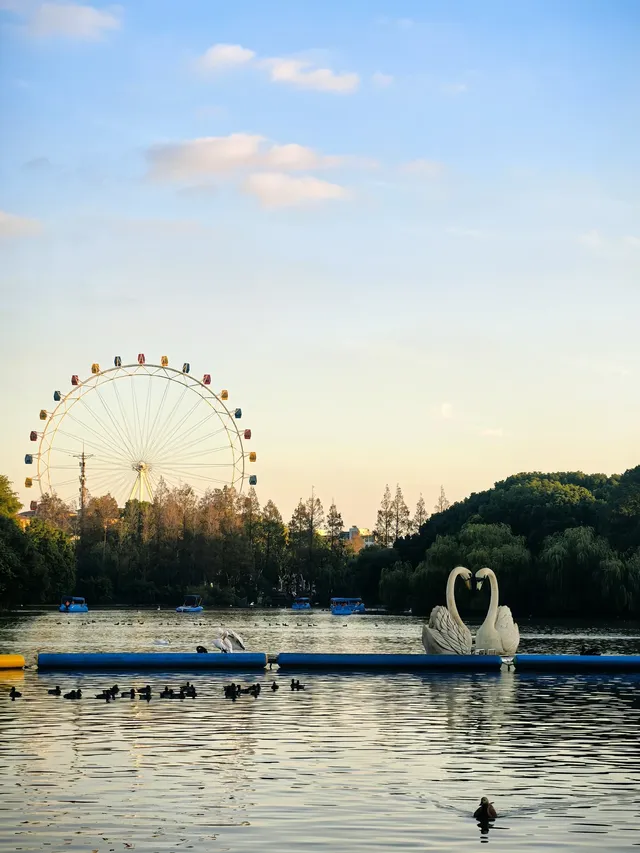 上海野生動物園30歲免費！週末遛娃聖地！