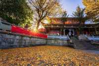 長沙迎來封神的秋天，這些地方真的超美！