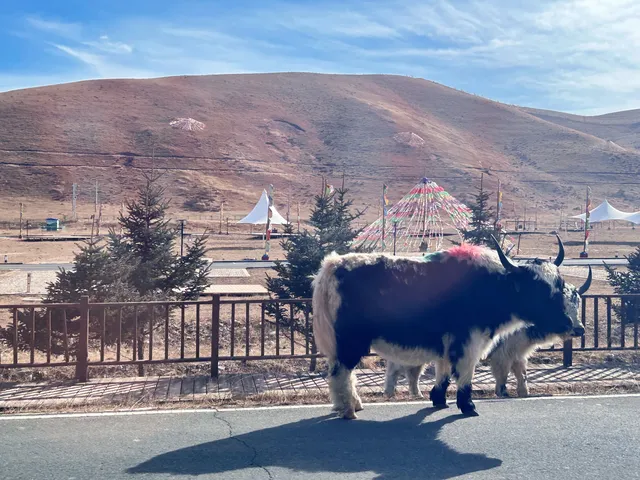 蘭州寶藏雪山一日遊|馬牙雪山-烏鞘嶺 蘭州寶藏雪山一日遊|馬牙雪山-烏鞘嶺