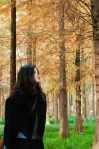 德陽東湖山水杉林紅了！陽光穿透紅杉林絕美