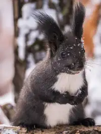 再吃，再吃就把你拍下來，放到網上去！