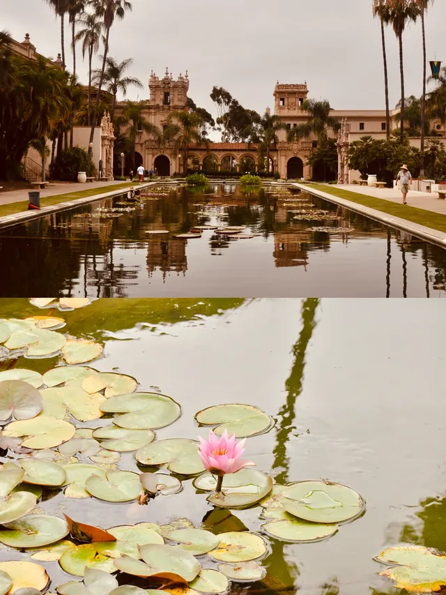 聖地牙哥真正的寶藏,是這個氛圍感逆天的公園 聖地牙哥真正的寶藏,是這個氛圍感逆天的公園