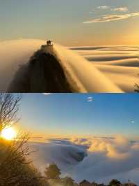 洛陽一地暢玩4日攻略在手 嗨玩不愁