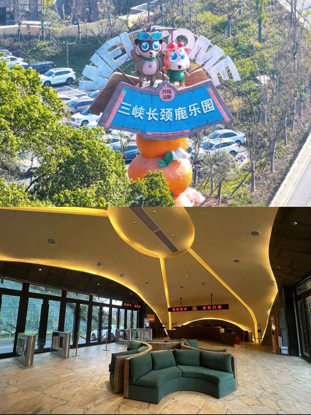 長頸鹿相伴！親子遊絕佳地！