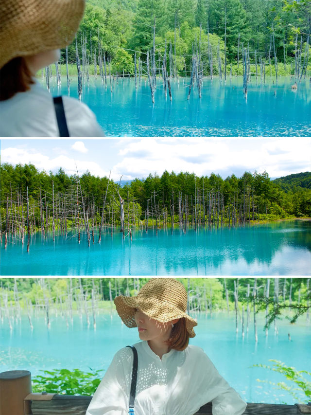 速速保存！夏天去20℃北海道這樣玩封神