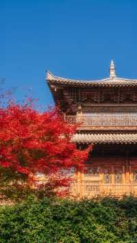 全屏封神 | 理想的秋天,就該這樣熱烈