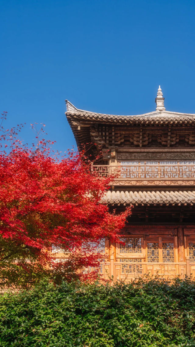 全屏封神 | 理想的秋天,就該這樣熱烈 全屏封神 | 理想的秋天,就該這樣熱烈