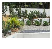 沉醉在蜈支洲島的藍色浪漫裡