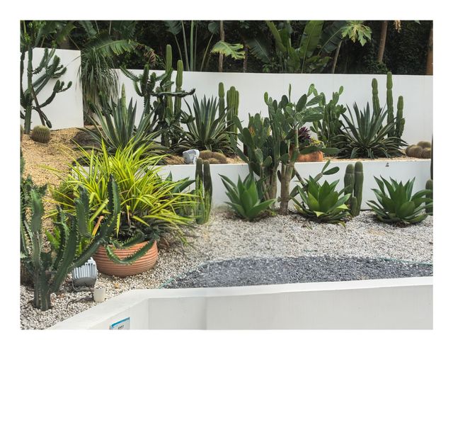 沉醉在蜈支洲島的藍色浪漫裡 沉醉在蜈支洲島的藍色浪漫裡