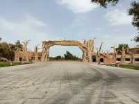 塔里木胡楊林公園