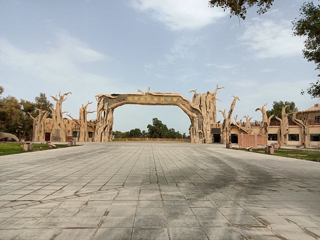 塔里木胡楊林公園 塔里木胡楊林公園