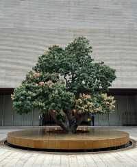 廈門七尚|新中式美學天花板住進絕美落日長廊