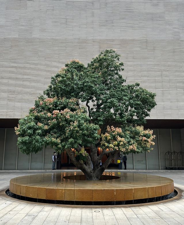 廈門七尚|新中式美學天花板住進絕美落日長廊 廈門七尚|新中式美學天花板住進絕美落日長廊