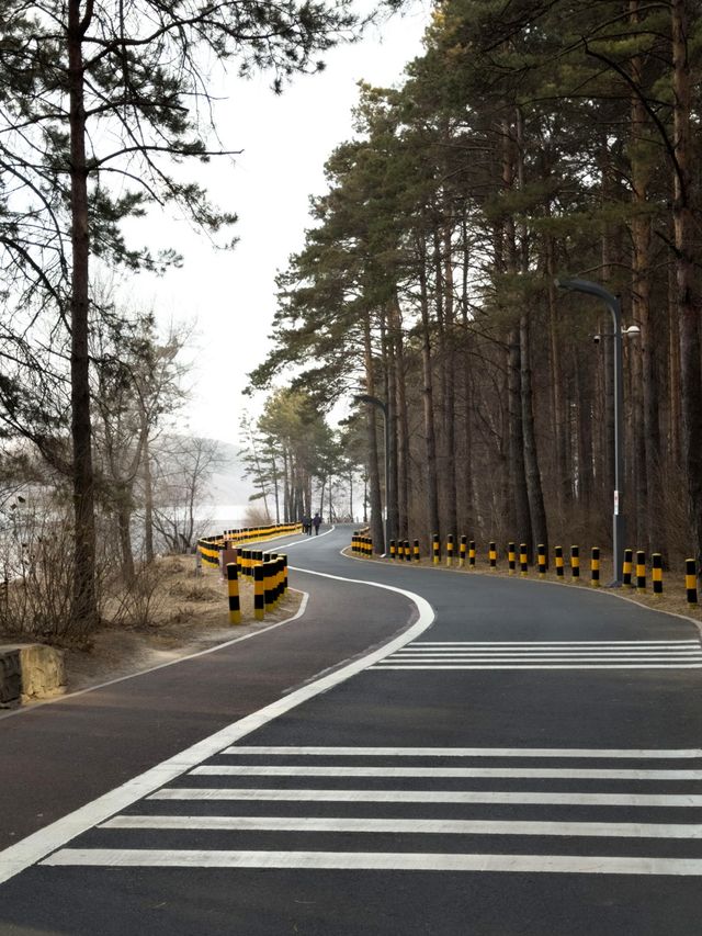 淨月潭：在冷杉林與月亮之間豢養一汪液態翡翠