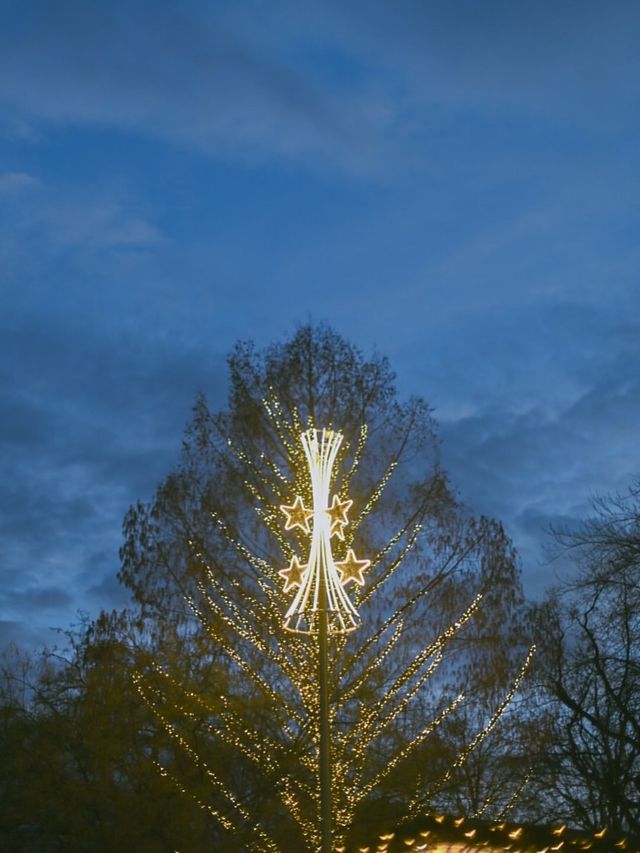 維也納聖誕奇遇記冬日童話般的夢幻之旅