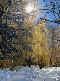 別只夏天去九寨溝，冬天才是靈魂暴擊