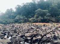 陰雨天賞湖秘境