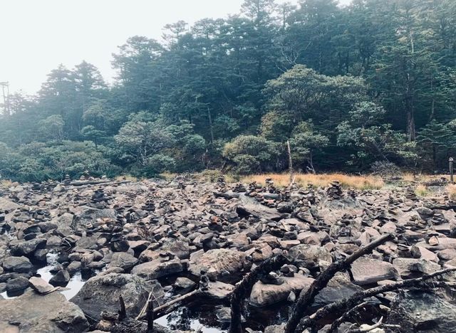 陰雨天賞湖秘境 陰雨天賞湖秘境