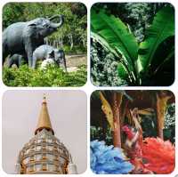 西雙版納保姆級攻略｜玩吃住全解鎖