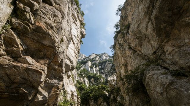 嵩山遊玩全指南:一天看遍武林聖地和五嶽中峰 嵩山遊玩全指南:一天看遍武林聖地和五嶽中峰