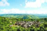 古茶聖地景邁山