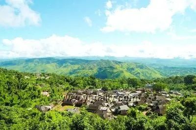 古茶聖地景邁山