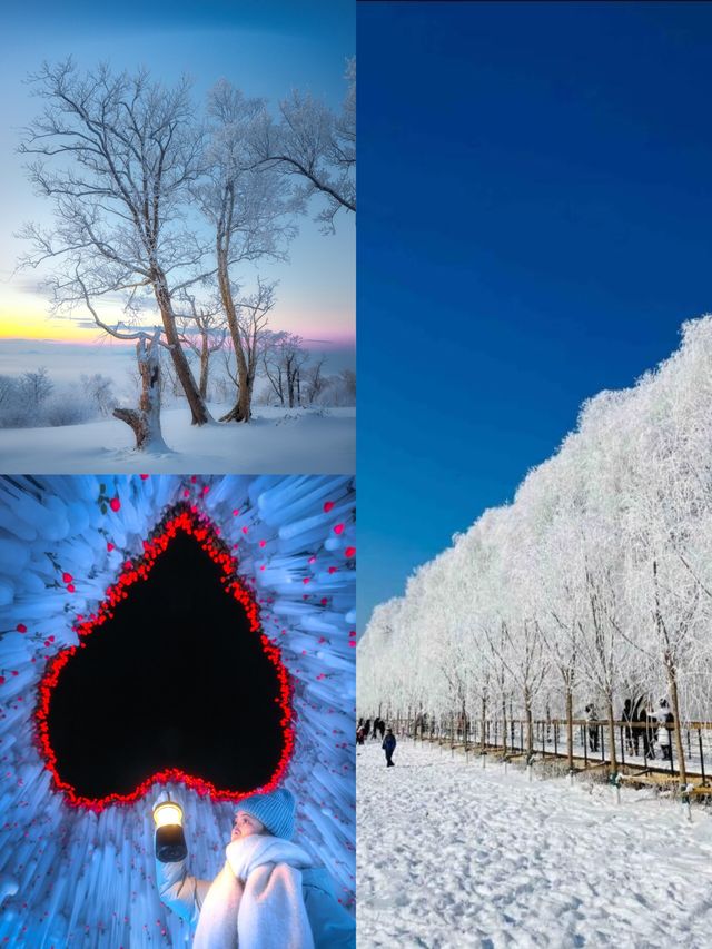 人這一輩子總要去松花江看一次霧淞吧 人這一輩子總要去松花江看一次霧淞吧