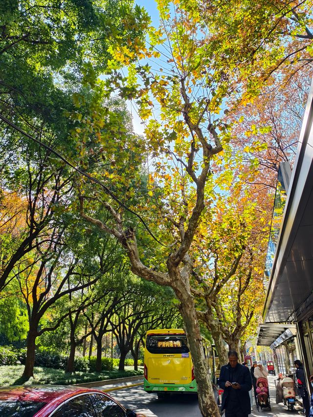 靜安輔德里公園的秋日秘境live