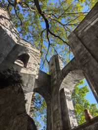 碧海藍天的叛逆玩法