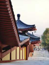 金秋寺廟C位出道保定這個小眾古寺的銀杏美哭了