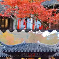 天平山‖我宣布我找的機位拍得最好看~