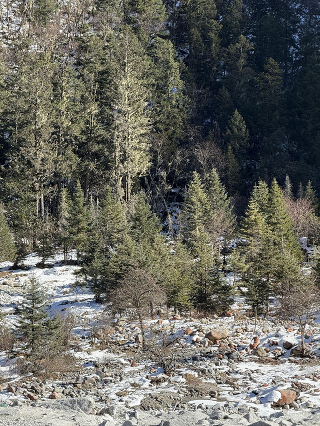 川西絕美理小路一日遊藍冰雪山治癒打工人！