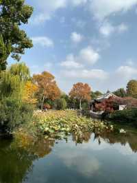 上海賞楓絕佳地標