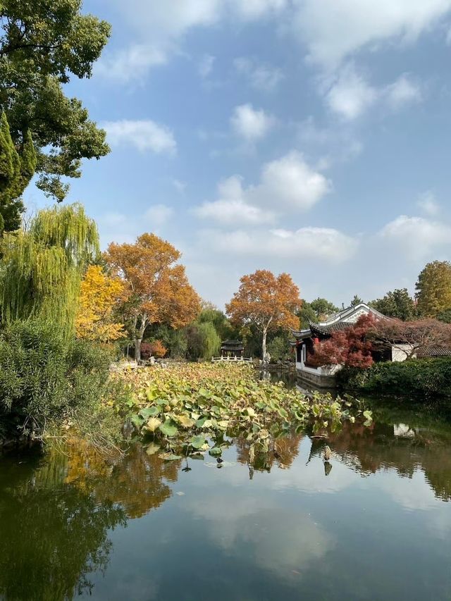 上海賞楓絕佳地標