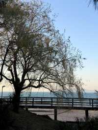 青島冬日Seawalk新路線太平角公園拍照攻略Get!