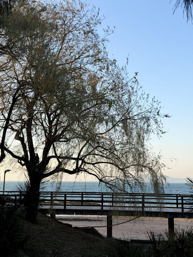 青島冬日Seawalk新路線太平角公園拍照攻略Get! 青島冬日Seawalk新路線太平角公園拍照攻略Get!