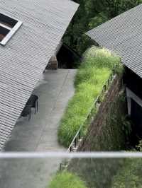 來峨眉山住進這家神仙民宿，隱於山林間的治癒系旅居體驗