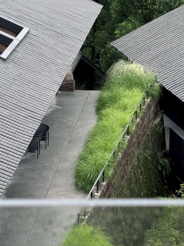 來峨眉山住進這家神仙民宿，隱於山林間的治癒系旅居體驗