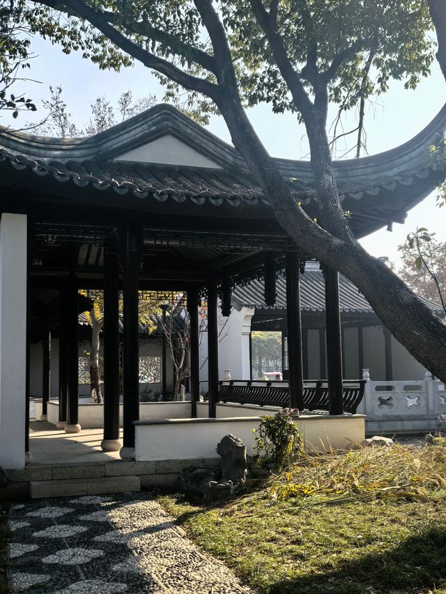 崑山澱山湖忻康公園:江南水鄉的城市秘境! 崑山澱山湖忻康公園:江南水鄉的城市秘境!